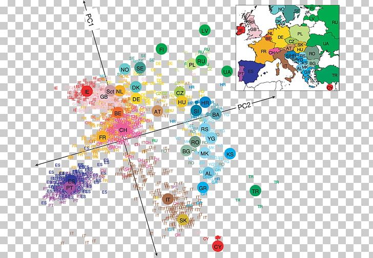 Europe The History And Geography Of Human Genes Gene Mapping Genetics PNG, Clipart, Area, Art, Caucasian Ethnic, Circle, Diagram Free PNG Download