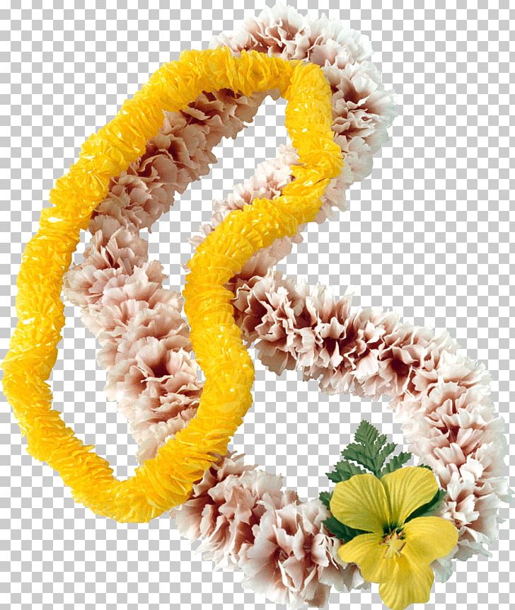 Tahitian Hula PNG, Clipart, Dance, Download, Hapa, Hawaiian, Hula Free PNG Download