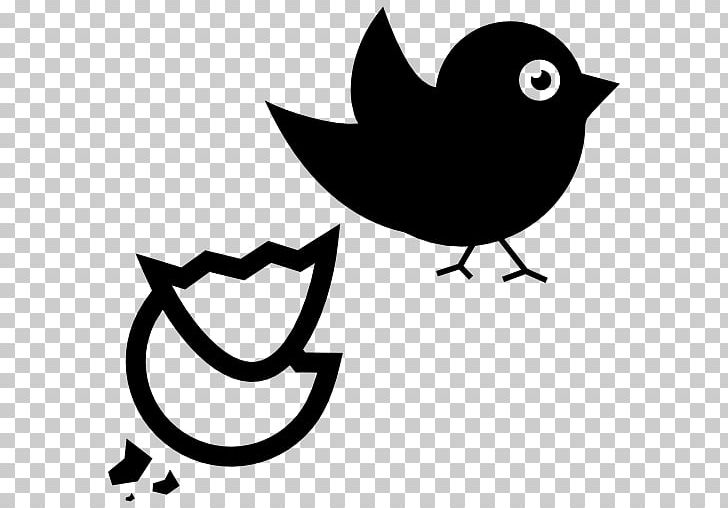 Bird Computer Icons PNG, Clipart, Animals, Artwork, Beak, Bird, Black And White Free PNG Download