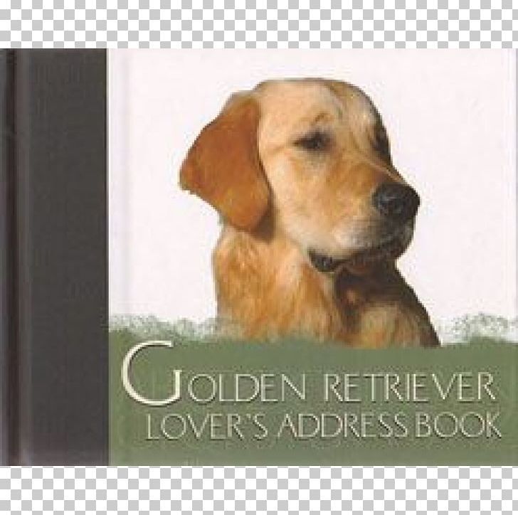 Golden Retriever Labrador Retriever Puppy Dog Breed Broholmer PNG, Clipart, Animals, Book, Breed, Broholmer, Carnivoran Free PNG Download