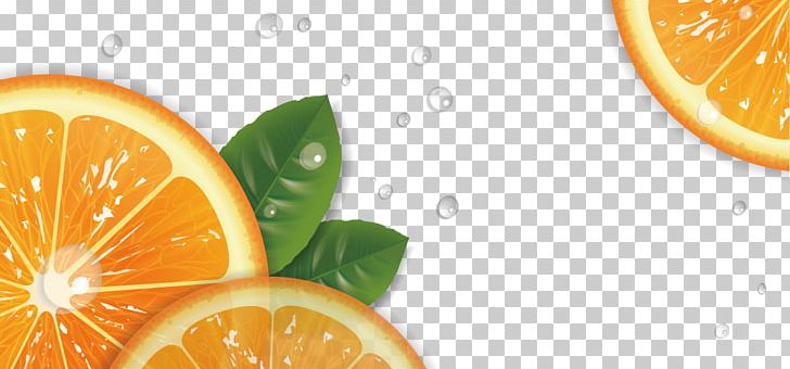 Lemon Tangelo Rangpur Mandarin Orange Grapefruit PNG, Clipart, Citric Acid, Citrus, Cool, Diet Food, Drink Free PNG Download