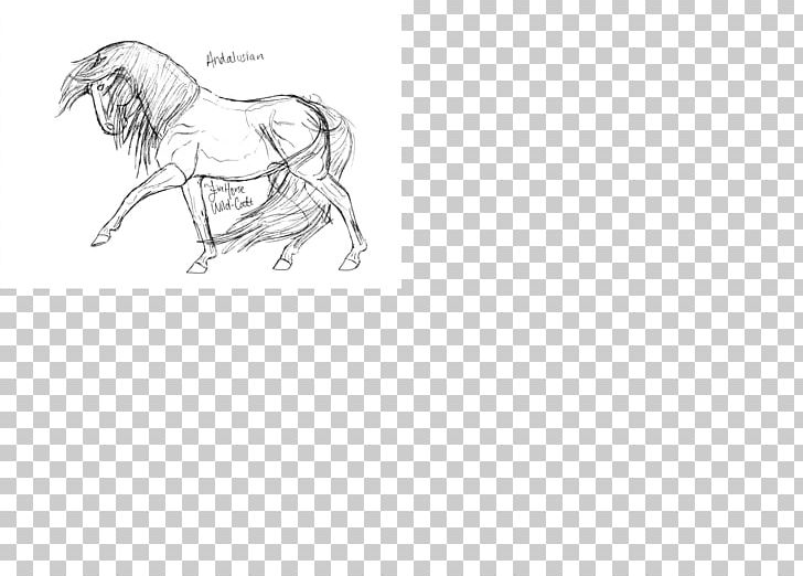 Horse Line Art Drawing Desktop Sketch PNG, Clipart, Animals, Arm, Black, Black M, Black Pearl Free PNG Download
