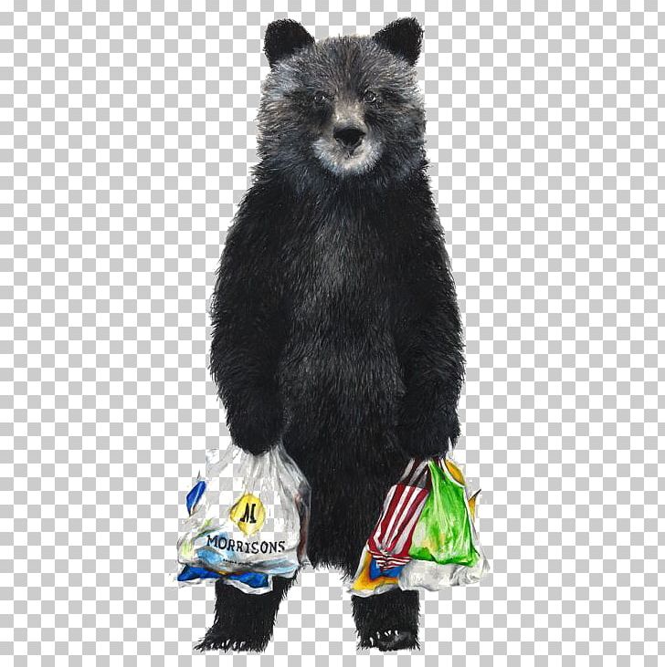 American Black Bear Brown Bear Shopping Drawing PNG, Clipart, Animal, Animals, Art, Bear, Black Free PNG Download