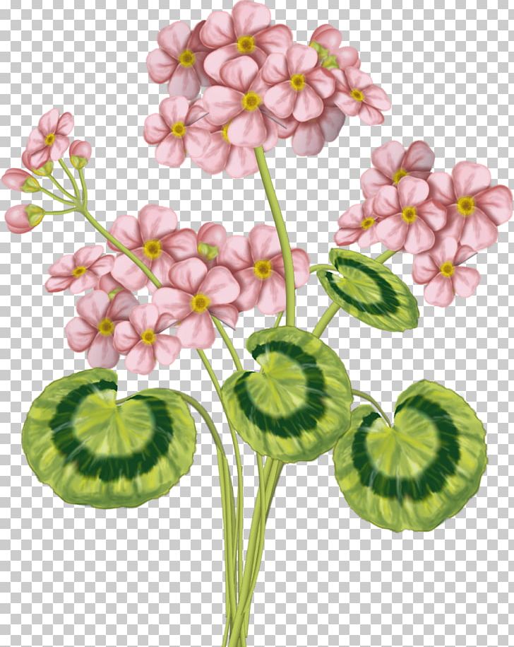 Pink Flower Green Color PNG, Clipart, Art, Cartoon, Color, Cut Flowers, Designer Free PNG Download