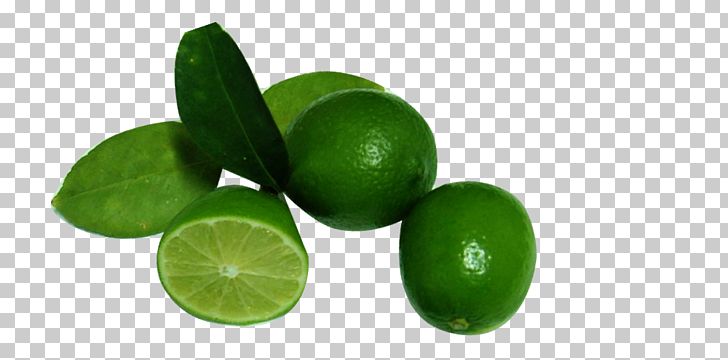 Lemon-lime Drink Lemon-lime Drink Persian Lime PNG, Clipart, Citric Acid, Citrus, Citrus Depressa, Computer Icons, Food Free PNG Download