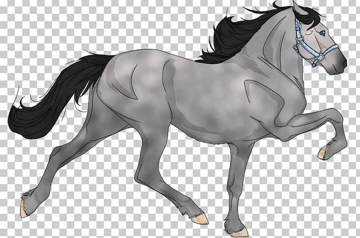 Mustang Mane Stallion Pony Foal PNG, Clipart, Black And White, Colt, English Riding, Equestrian, Equestrian Sport Free PNG Download