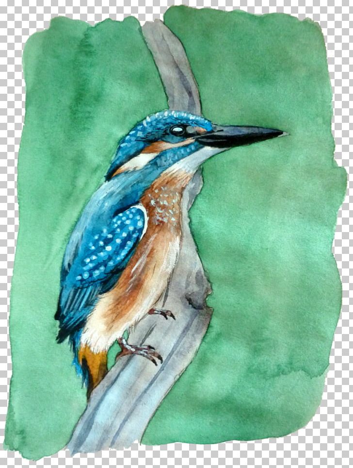 Watercolor Painting Beak Fauna PNG, Clipart, Art, Beak, Bird, Bluebird, Fauna Free PNG Download
