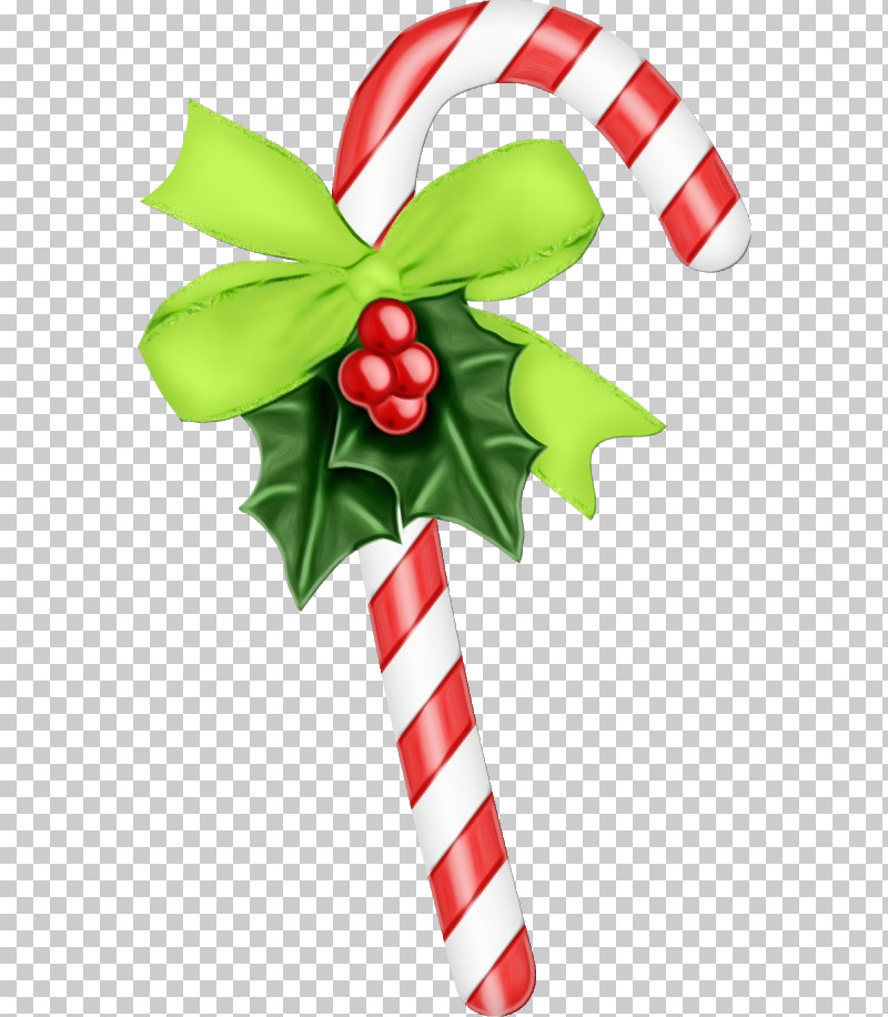 Candy Cane PNG, Clipart, Aquifoliales, Candy Cane, Christmas Day, Christmas Ornament, Flower Free PNG Download