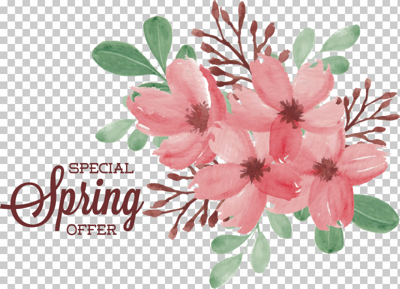 Floral Design PNG, Clipart, Carnation, Chrysanthemum, Cut Flowers, Floral Design, Flower Free PNG Download