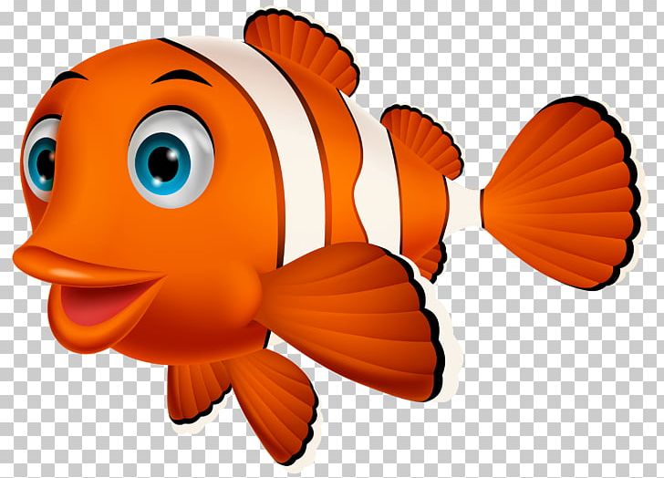 Clownfish PNG, Clipart, Beak, Blog, Clownfish, Download, Drawing Free PNG Download
