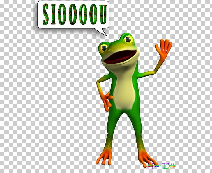 True Frog Photography Jalbum PNG, Clipart, Amphibian, Computer Software, Frog, Organism, Photography Free PNG Download