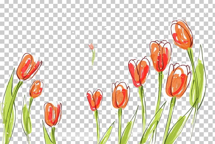 Tulip Poster Fundal PNG, Clipart, Beautiful Girl, Beautiful Vector, Beauty, Beauty Salon, Beauty Vector Free PNG Download