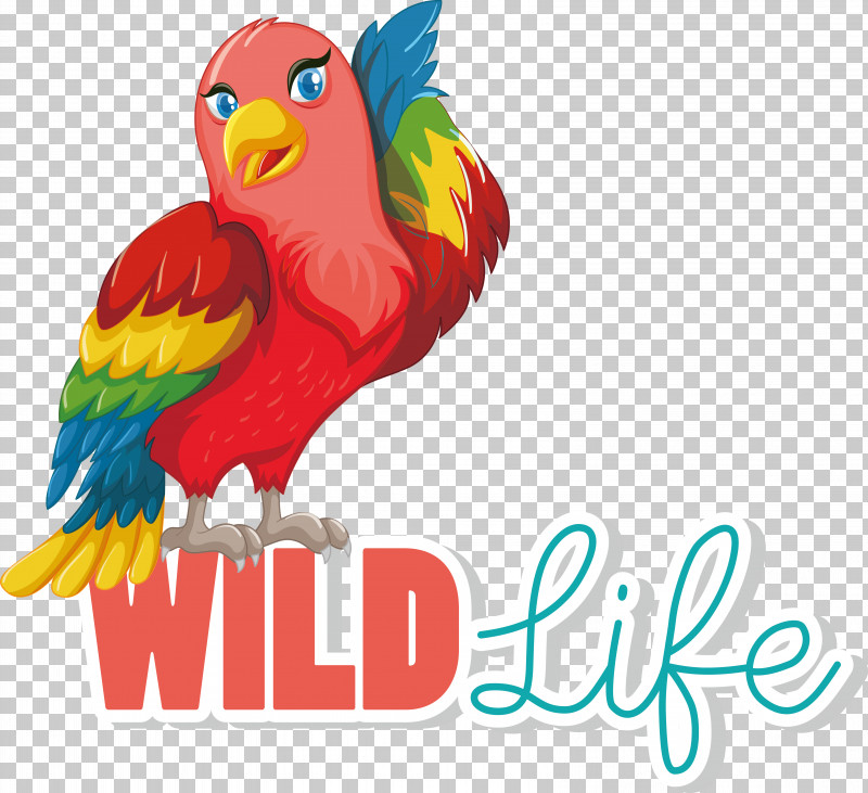 Birds Macaw Beak Parakeet Text PNG, Clipart, Beak, Biology, Birds, Macaw, Meter Free PNG Download