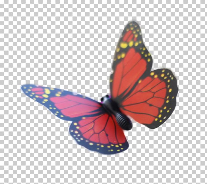 Butterfly Net Shark Insect Scapanorhynchus PNG, Clipart, Animal, Arthropod, Brush Footed Butterfly, Butterflies And Moths, Butterfly Free PNG Download