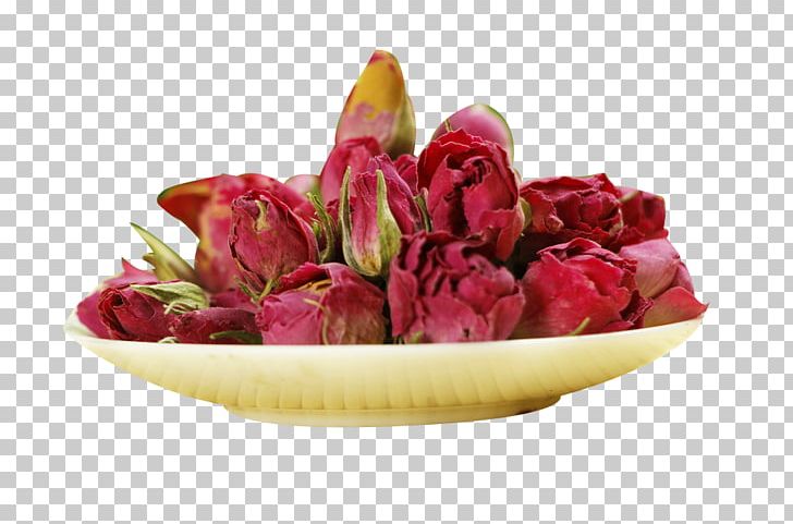 France Beach Rose Garden Roses Petal PNG, Clipart, Beach Rose, Cut Flowers, Designer, Floral Design, Floristry Free PNG Download