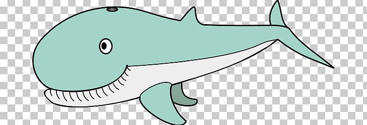 Humpback Whale Cartoon PNG, Clipart, Area, Artwork, Blue Whale, Cartilaginous Fish, Cartoon Free PNG Download