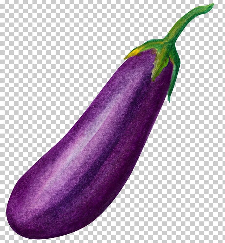 Vegetable Eggplant Food PNG, Clipart, Decoration, Diagram, Download, Eggplant Cartoon, Eggplant Watercolor Flowers Free PNG Download