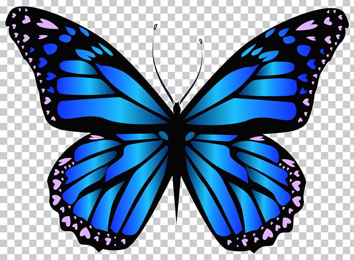 Butterfly Purple Blue PNG, Clipart, Arthropod, Blue, Brush Footed Butterfly, Butterflies, Butterfly Free PNG Download