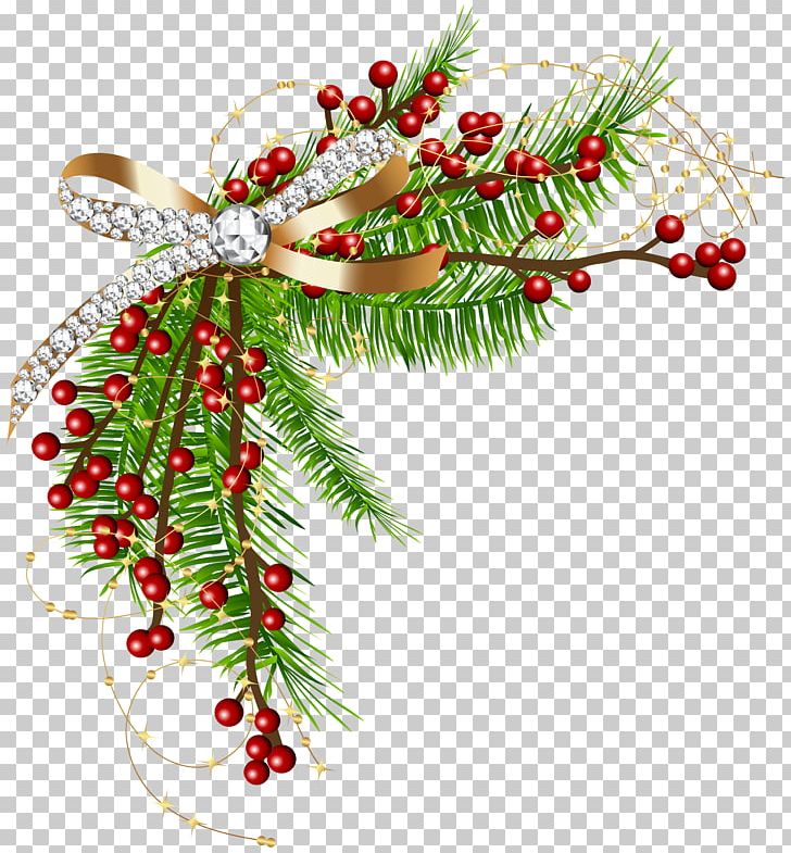 Christmas Decoration Christmas Ornament PNG, Clipart, Aquifoliaceae, Borders And Frames, Branch, Christmas, Christmas Clipart Free PNG Download