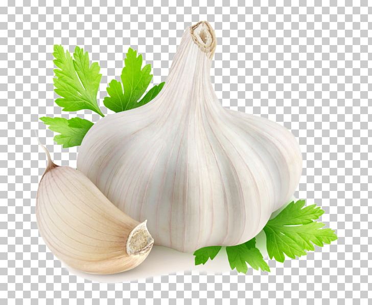 Garlic Herbalism Food Medicine PNG, Clipart, Allicin, Alliin, Food, Garlic, Health Free PNG Download