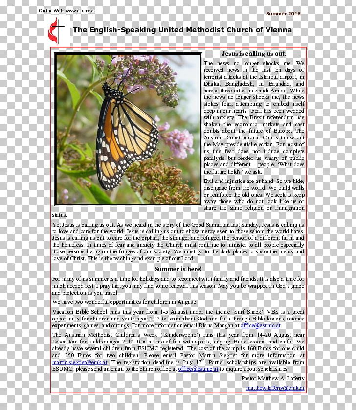 Brush-footed Butterflies Butterfly Fauna Ecosystem PNG, Clipart, Brush Footed Butterfly, Butterfly, Ecosystem, Fauna, Flora Free PNG Download
