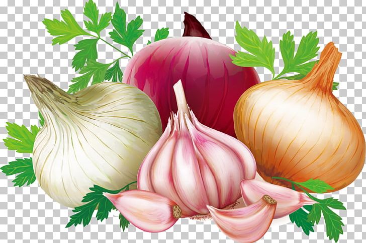 animated garlic