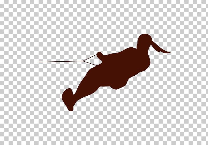 Silhouette Water Skiing Alpine Skiing PNG, Clipart, Alpine Skiing, Animals, Beak, Bird, Ducks Geese And Swans Free PNG Download