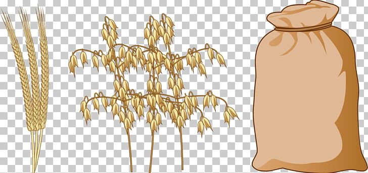 Cereal Rice Wheat Food PNG, Clipart, Broomcorn, Brown Rice, Bumper, Commodity, Crop Free PNG Download