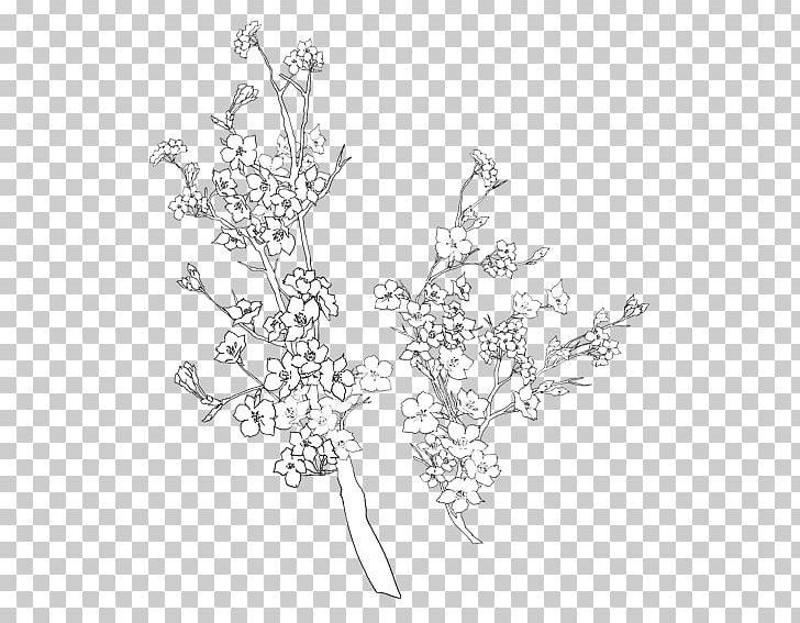 Drawing Art Photography Beatport PNG, Clipart, Art, Beatport, Black And White, Blossom, Branch Free PNG Download