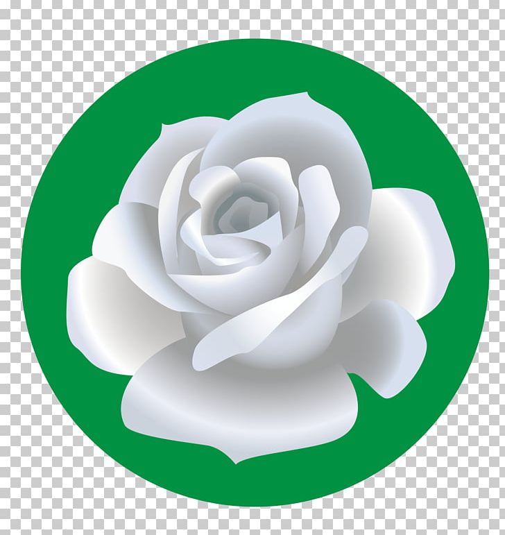 Garden Roses Beach Rose Drawing Flower PNG, Clipart, Background White, Black White, Cartoon Flowers, Cartoon Roses, Circle Free PNG Download