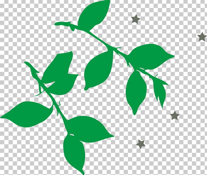 Leaf Branch Green PNG, Clipart, Autumn Leaves, Background Green, Branch, Branches, Cartoon Free PNG Download