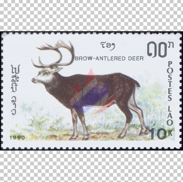 Reindeer Elk Cattle Antler Antelope PNG, Clipart, Antelope, Antler, Cartoon, Cattle, Cattle Like Mammal Free PNG Download