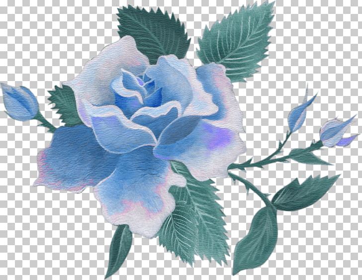 Centifolia Roses Cut Flowers Blue Rose PNG, Clipart, Blue, Blue Flower, Blue Rose, Centifolia Roses, Cut Flowers Free PNG Download