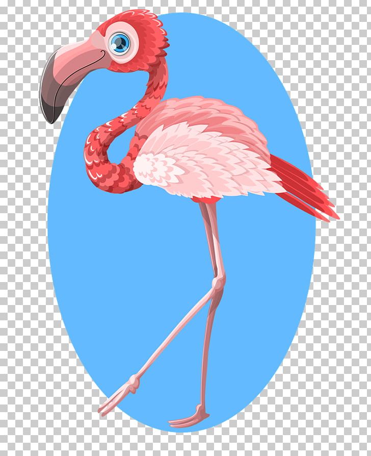 Flamingo PNG, Clipart, Animals, Beak, Bird, Download, Flamingo Free PNG Download