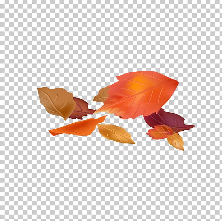 Google S PNG, Clipart, Autumn, Autumn Leaves, Autumn Tree, Deciduous, Defoliation Free PNG Download