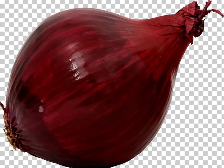 Shallot Red Onion Food PNG, Clipart, Beet, Cabbage, Food, Food Drinks, Ingredient Free PNG Download