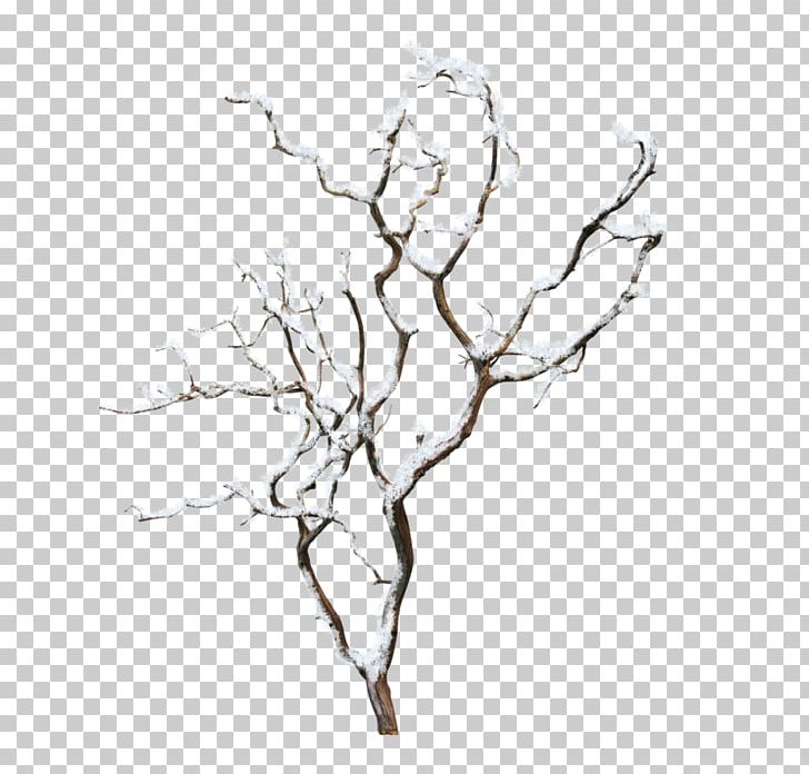 Tree Branch Encapsulated PostScript PNG, Clipart, Artwork, Black And White, Branch, Drawing, Encapsulated Postscript Free PNG Download