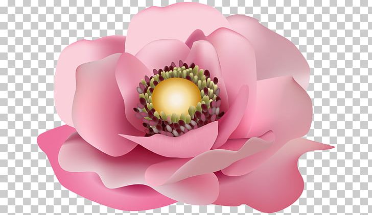 Pink Flower Floral Design PNG, Clipart, Arama, Art, Bud, Desktop Wallpaper, Floral Design Free PNG Download