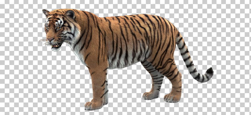 Tiger Wildlife Bengal Tiger Animal Figure Siberian Tiger PNG, Clipart, Animal Figure, Bengal Tiger, Fur, National Park, Siberian Tiger Free PNG Download