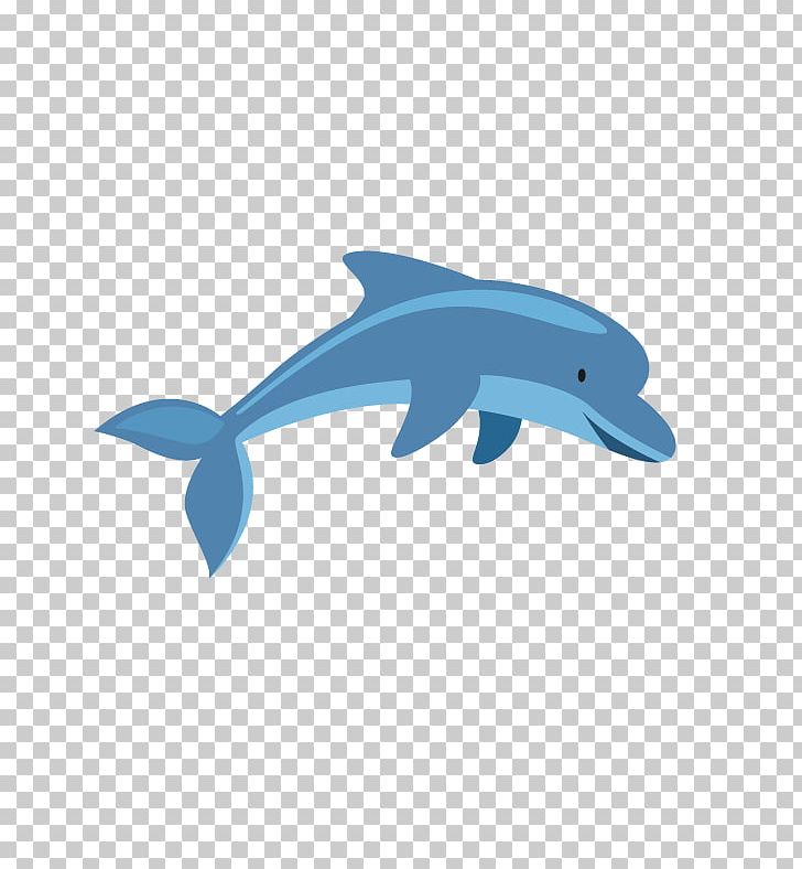 Common Bottlenose Dolphin Tucuxi PNG, Clipart, Adobe Illustrator, Animals, Blue, Common Bottlenose Dolphin, Cute Free PNG Download
