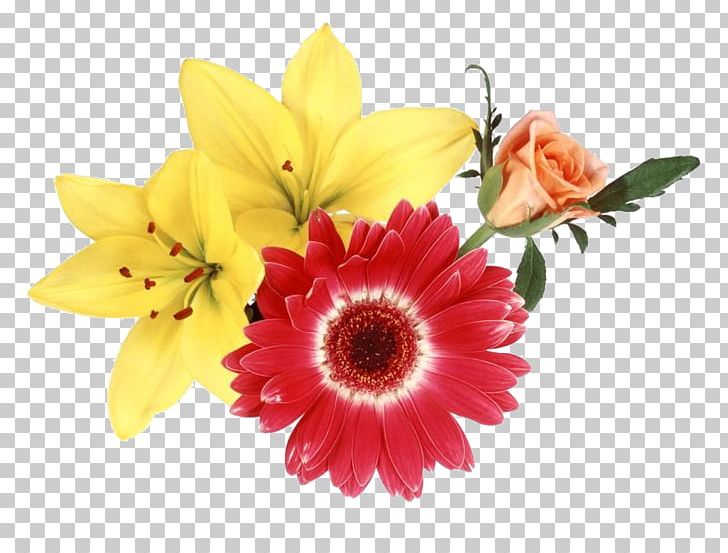 Flower Garden Roses PNG, Clipart, Chrysanthemum Vector, Chrysanths, Cut Flowers, Daisy Family, Digital Image Free PNG Download