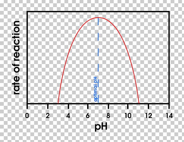 PH Enzyme Denaturation Thermodynamic Activity Reaction Rate PNG, Clipart, Amy, Angle, Area, Chemical Reaction, Circle Free PNG Download