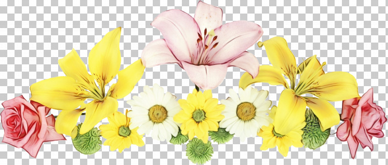 Petal Flower Yellow Plant Cut Flowers PNG, Clipart, Cut Flowers, Floral Line, Flower, Flower Background, Flower Border Free PNG Download