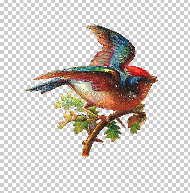 Bird PNG, Clipart, Animals, Beak, Bird, Birdcage, Bird Nest Free PNG Download