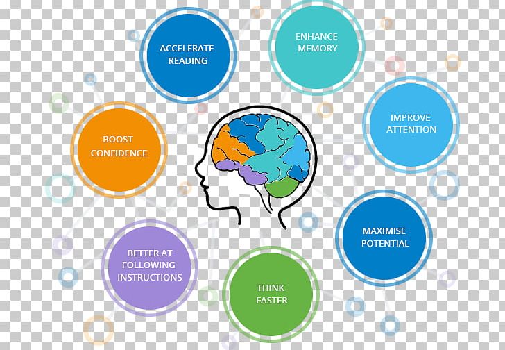 Learning Brain Cognitive Training Education PNG, Clipart, Area, Brain, Brain Damage, Brand, Business Free PNG Download