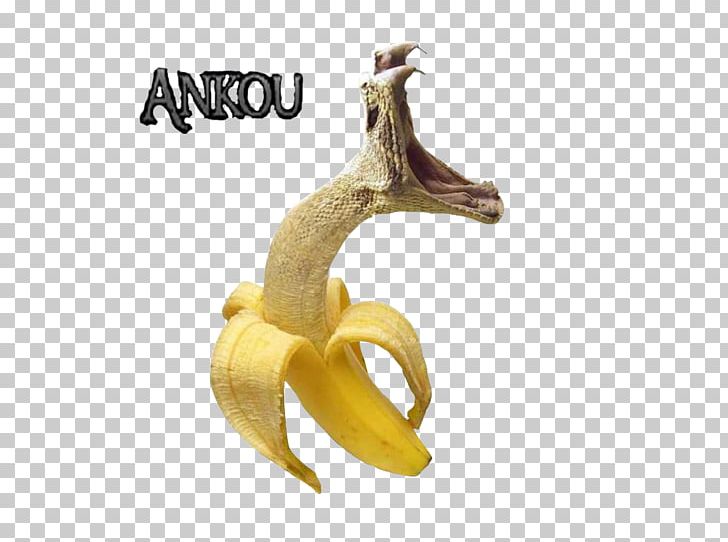 Snake Venom Vipers Cobra PNG, Clipart, Animal, Animals, Banana, Banana Family, Banane Free PNG Download