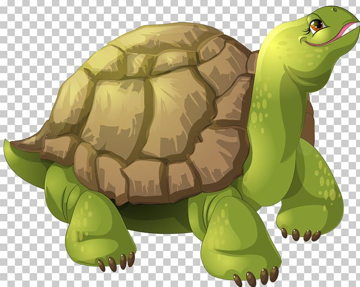Turtle Animation PNG, Clipart, Animals, Animated Cartoon, Animation, Box Turtle, Cartoon Free PNG Download