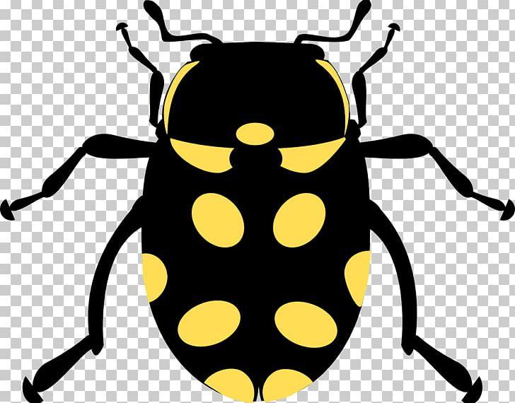 Beetle Butterfly PNG, Clipart, Animals, Artwork, Bee, Beetle, Bugs Free PNG Download