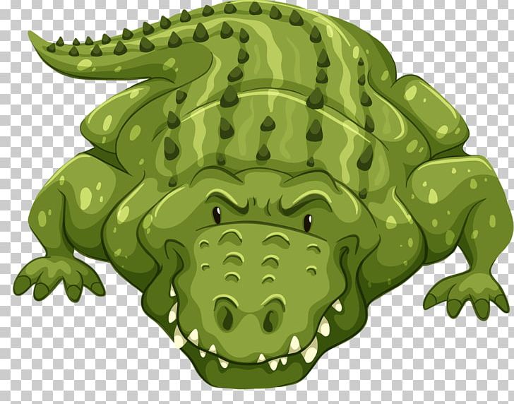 Crocodile Alligators Graphics Stock Photography PNG, Clipart, Alligators, Amphibian, Animals, Crocodile, Crocodile Clipart Free PNG Download