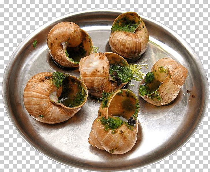 Escargot French Cuisine Greek Cuisine Snail Food PNG, Clipart, Animals, Burgundy Snail, Butter, Cooking, Cuisine Free PNG Download